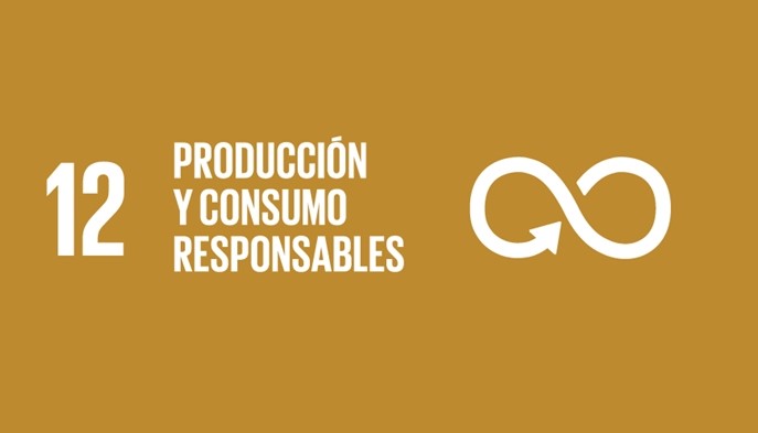 Objetivos 2030 - Fundación ATHOS - Villa de Leyva, Boyacá - image - 13