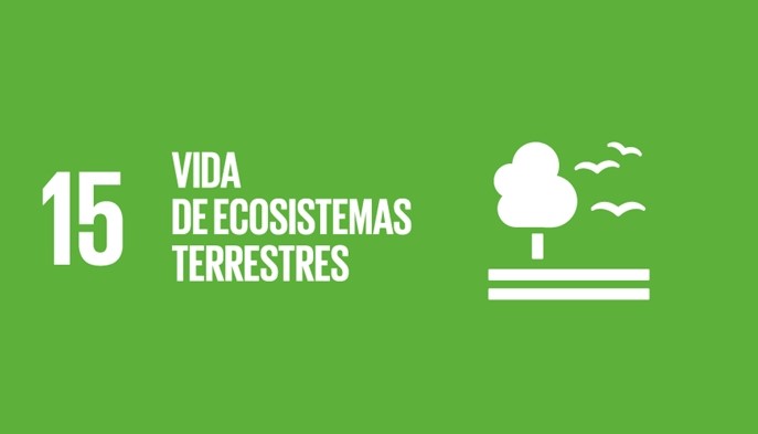 Objetivos 2030 - Fundación ATHOS - Villa de Leyva, Boyacá - image - 16