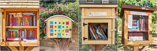 The Little Free Library Colombia