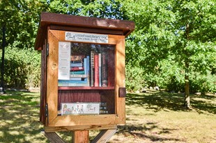 The Little Free Library Colombia - Fundación ATHOS - Villa de Leyva, Boyacá - image - 3