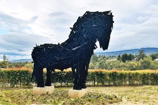 Un recorrido con expresiones artísticas - Fundación ATHOS - Villa de Leyva, Boyacá - image - 5