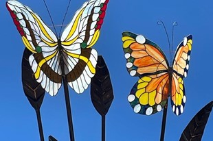 Mariposas - Fundación ATHOS - Villa de Leyva, Boyacá - image - 1