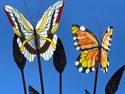 Mariposas - Fundación ATHOS - Villa de Leyva, Boyacá - image - 1