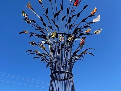 Mariposas - Fundación ATHOS - Villa de Leyva, Boyacá - image - 2