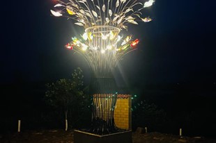 Mariposas - Fundación ATHOS - Villa de Leyva, Boyacá - image - 4