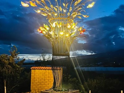 Mariposas - Fundación ATHOS - Villa de Leyva, Boyacá - image - 5